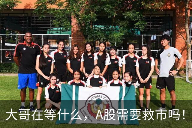 大哥在等什么，A股需要救市吗！